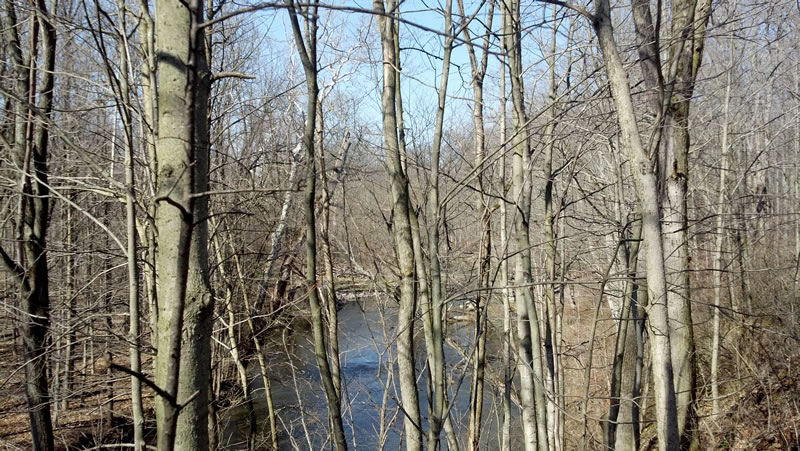 North Branch Clinton River | Ray, Michigan 48096